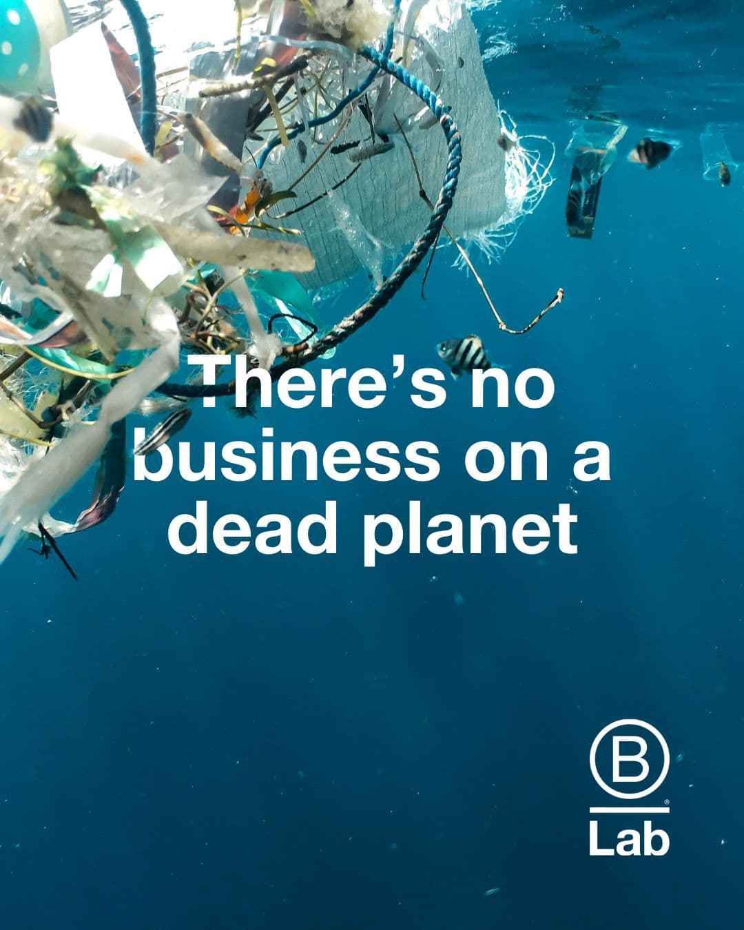 B Corp - no business on a dead planet